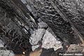 c2_15788_schuppenbrand.jpg