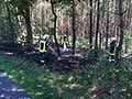 2015_0703_waldbrand_5.jpg
