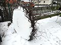 2016_01_storchennest_7374.jpg