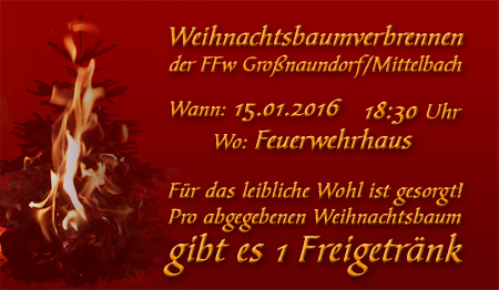 2016_0115_weihnachtsbaumbrennen.jpg