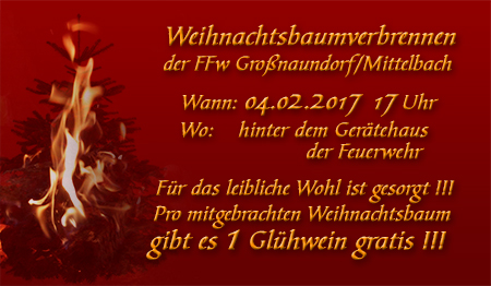 2017_0204_weihnachtsbaumbrennen.jpg